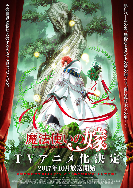 The Ancient Magus' Bride (TV Series 2017– ) - IMDb