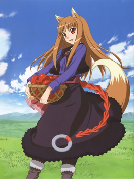 Spice and Wolf (2008-2009)