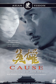 Ying xiong: Cause - The Birth of Hero (2002)