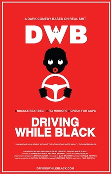 Driving While Black (2016)