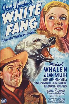 White Fang (1936)