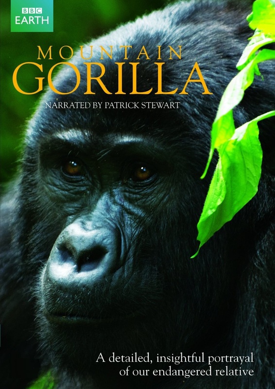 Mountain Gorilla (2010)