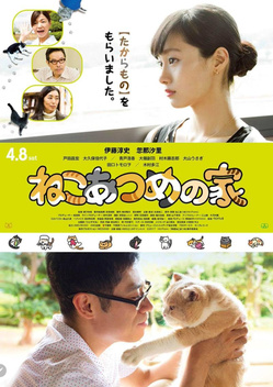 Neko Atsume House (2017)