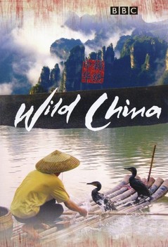 Wild China (2008)