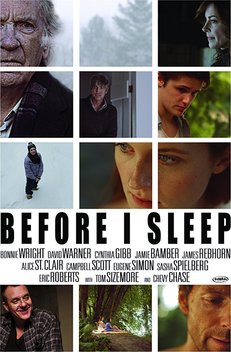 Before I Sleep (2013)