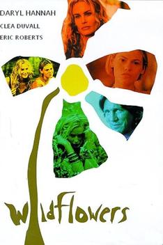 Wildflowers (1999)