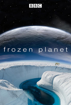 Frozen Planet (2011)