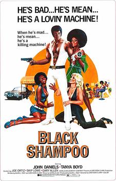 Black Shampoo (1976)