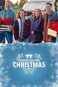 Poinsettias for Christmas (2018)