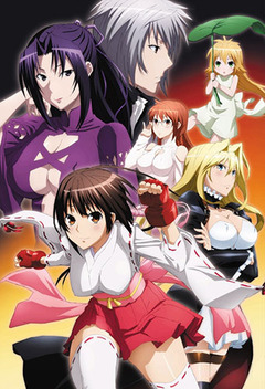 Sekirei: Pure Engagement (2010)