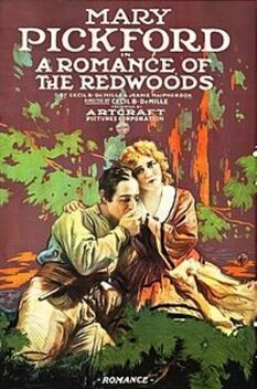 A Romance of the Redwoods (1917)