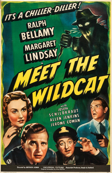 Meet the Wildcat (1940)