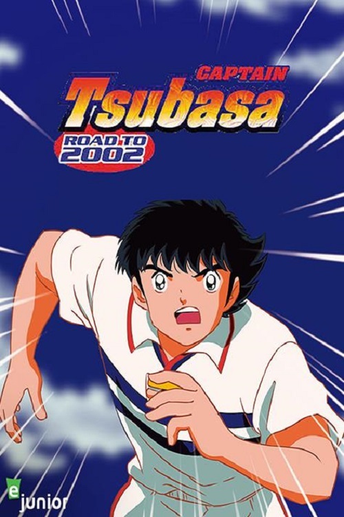 スペインリーグ 2002/2003ダイジェスト DVD スペインリーグ 2002/2003 ダイジェスト 中古DVD・ブルーレイ