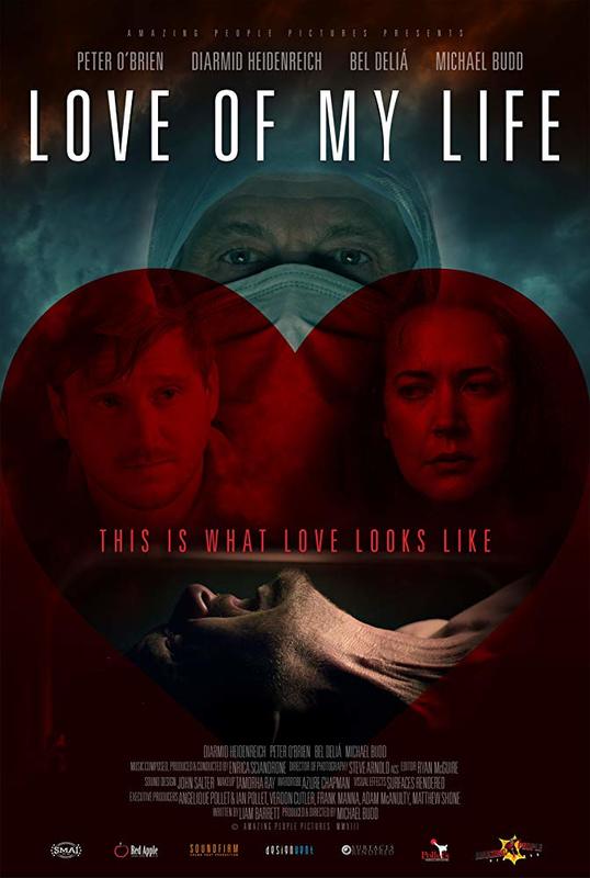 Love of My Life (2013)