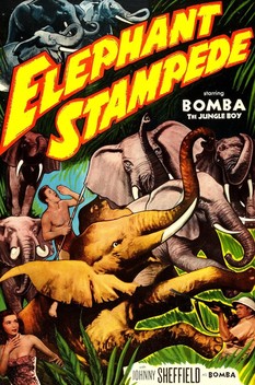 Elephant Stampede (1951)