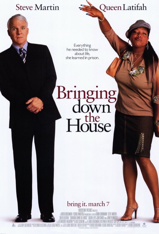 Bringing Down the House (2003)