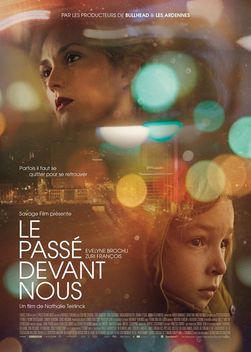 Past Imperfect (2016)