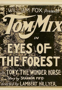Eyes of the Forest (1923)