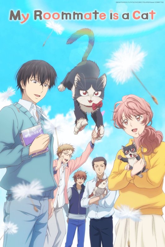 My Roommate Is a Cat (2019) - Blu-ray.com