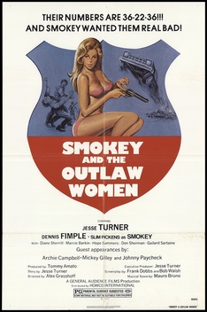 Smokey and the Good Time Outlaws (1978)