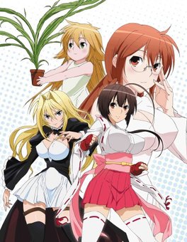 Infinite Stratos Sisters (TV Episode 2013) - IMDb