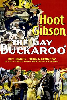 The Gay Buckaroo (1932)