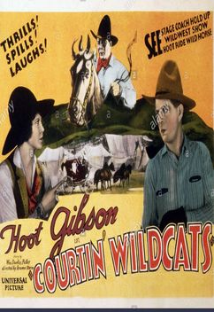 Courtin' Wildcats (1929)