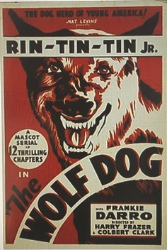 The Wolf Dog (1933)