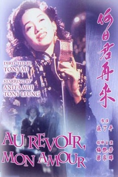 Au Revoir, Mon Amour (1991)