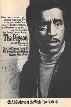 The Pigeon (1969)