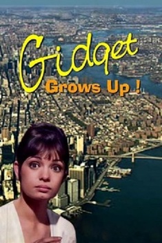 Gidget Grows Up (1969)