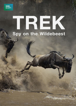 Trek: Spy on the Wildebeest (2007)