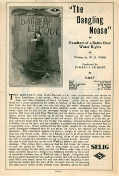 The Dangling Noose (1913)