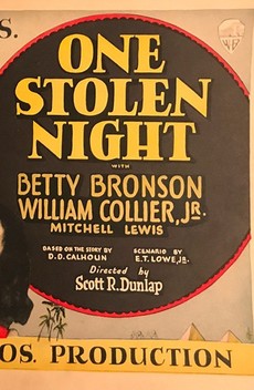One Stolen Night (1929)