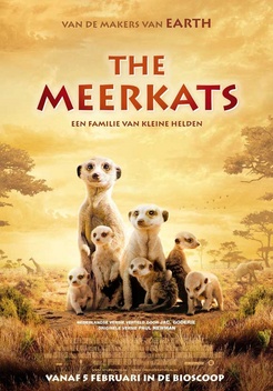 The Meerkats (2008)