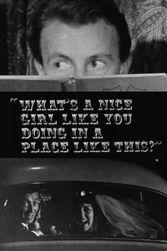 What's a Nice Girl Like You Doing in a Place Like This? (1963)