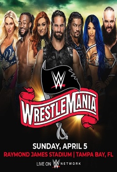 The 25th Anniversary of WrestleMania (TV Special 2009) - IMDb