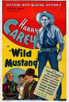 Wild Mustang (1935)