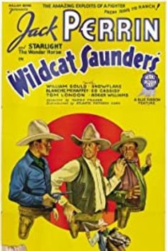 Wildcat Saunders (1936)