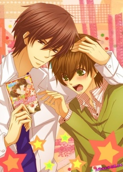 Gekijouban Sekaiichi hatsukoi: Yokozawa Takafumi no baai (2014)
