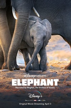 Elephant (2020)