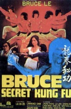 Bruce's Secret Kung Fu (1988)