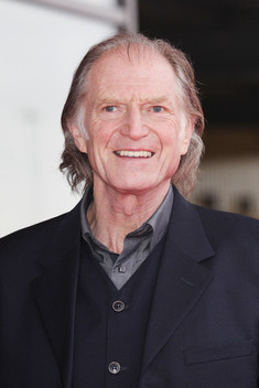 David bradley outlet tudors