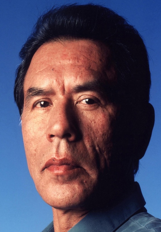 Wes Studi el ultimo mohicano