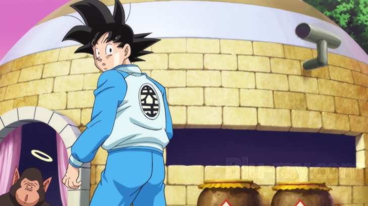 Dragon Ball Super TR - The Movie (Goku Fights A NEW God of Destruction) 