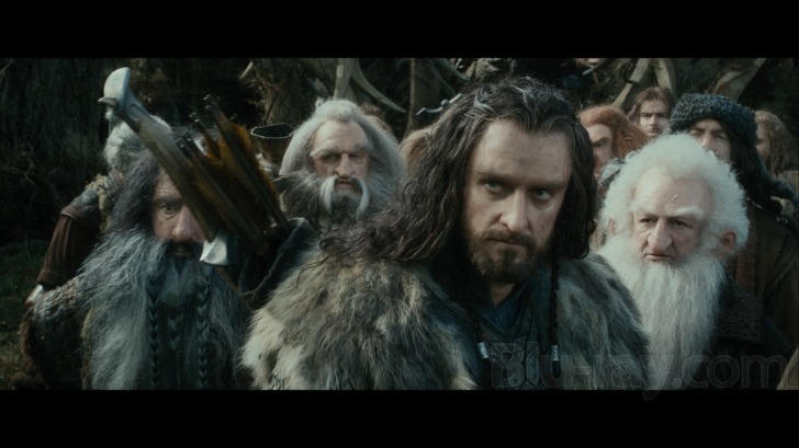 The Hobbit: The Desolation of Smaug 3D Blu-ray (Extended Edition)