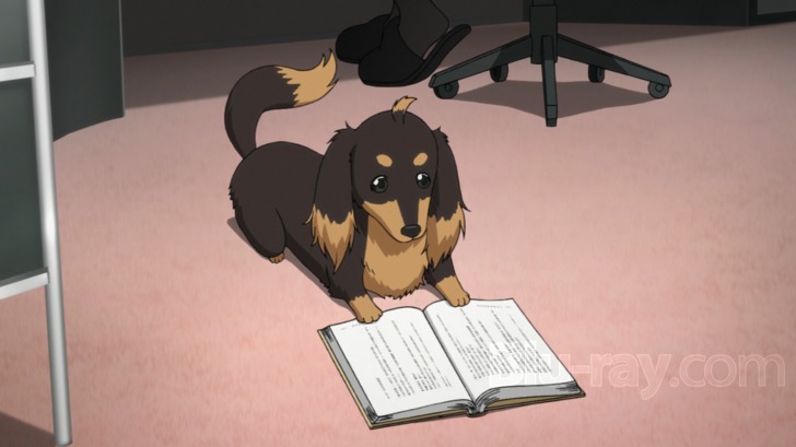 anime descriptionsPlot Summarys  Dog and scissors  Wattpad