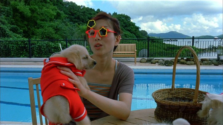 My Left Eye Sees Ghosts English Sub Full Movie My Left Eye Sees Ghosts Blu-ray (Ngo joh aan gin diy gwai / 我左眼見到鬼