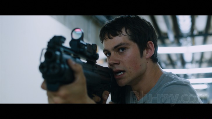 Blu-ray review: 'Maze Runner: The Scorch Trials, Ultimate Fan Edition' -  Washington Times