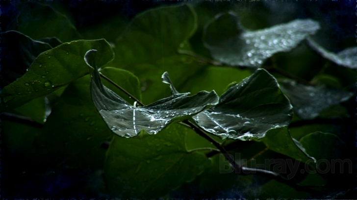 Nature's Journey Blu-ray